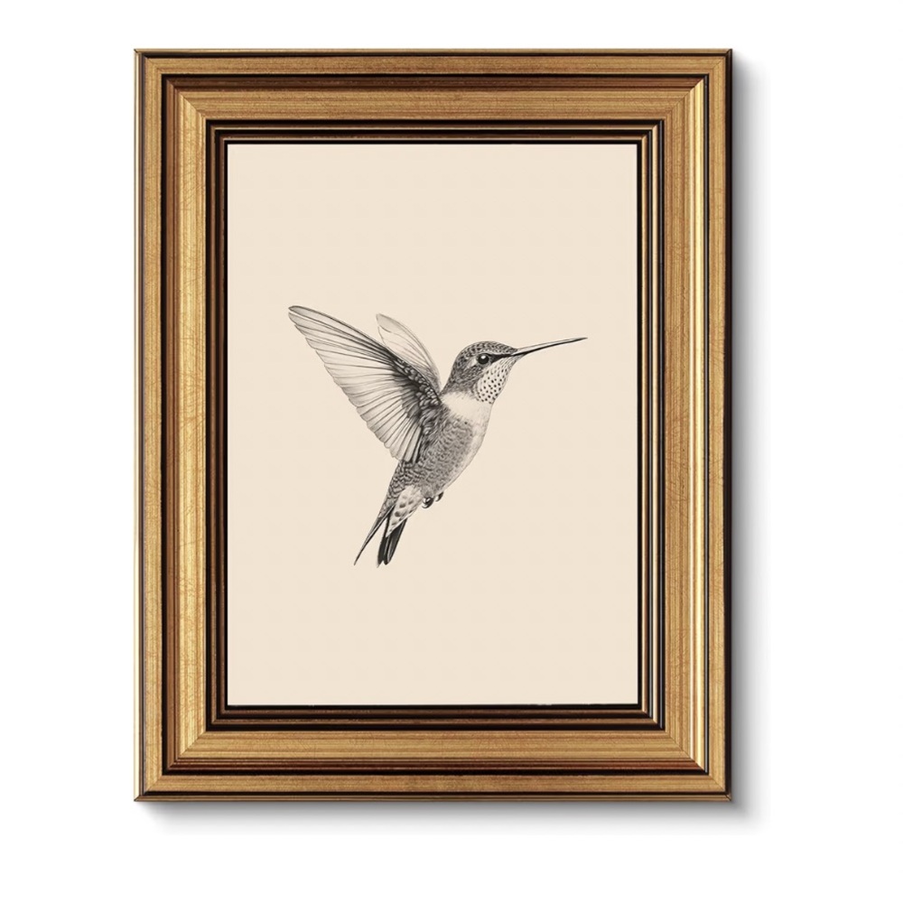 8x10 Gold Framed Hummingbird Art Print